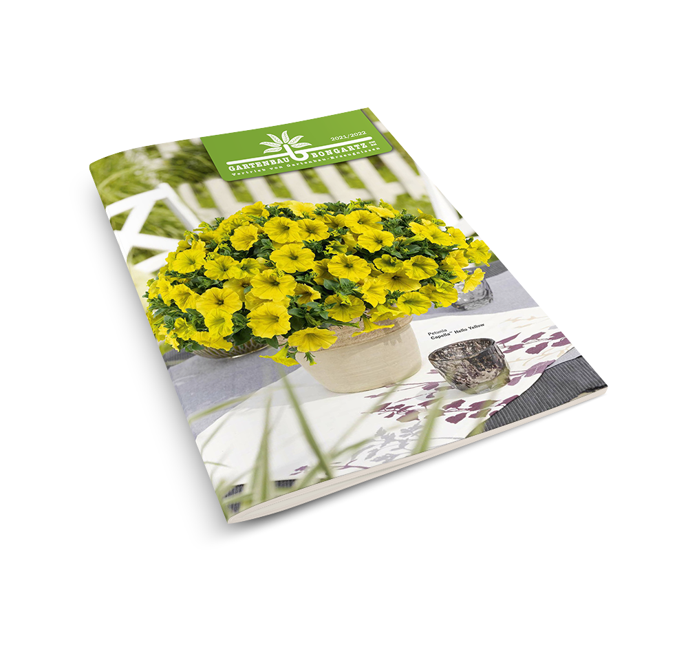 Unsere neuen Kataloge 2021/22 Gartenbau Bongartz