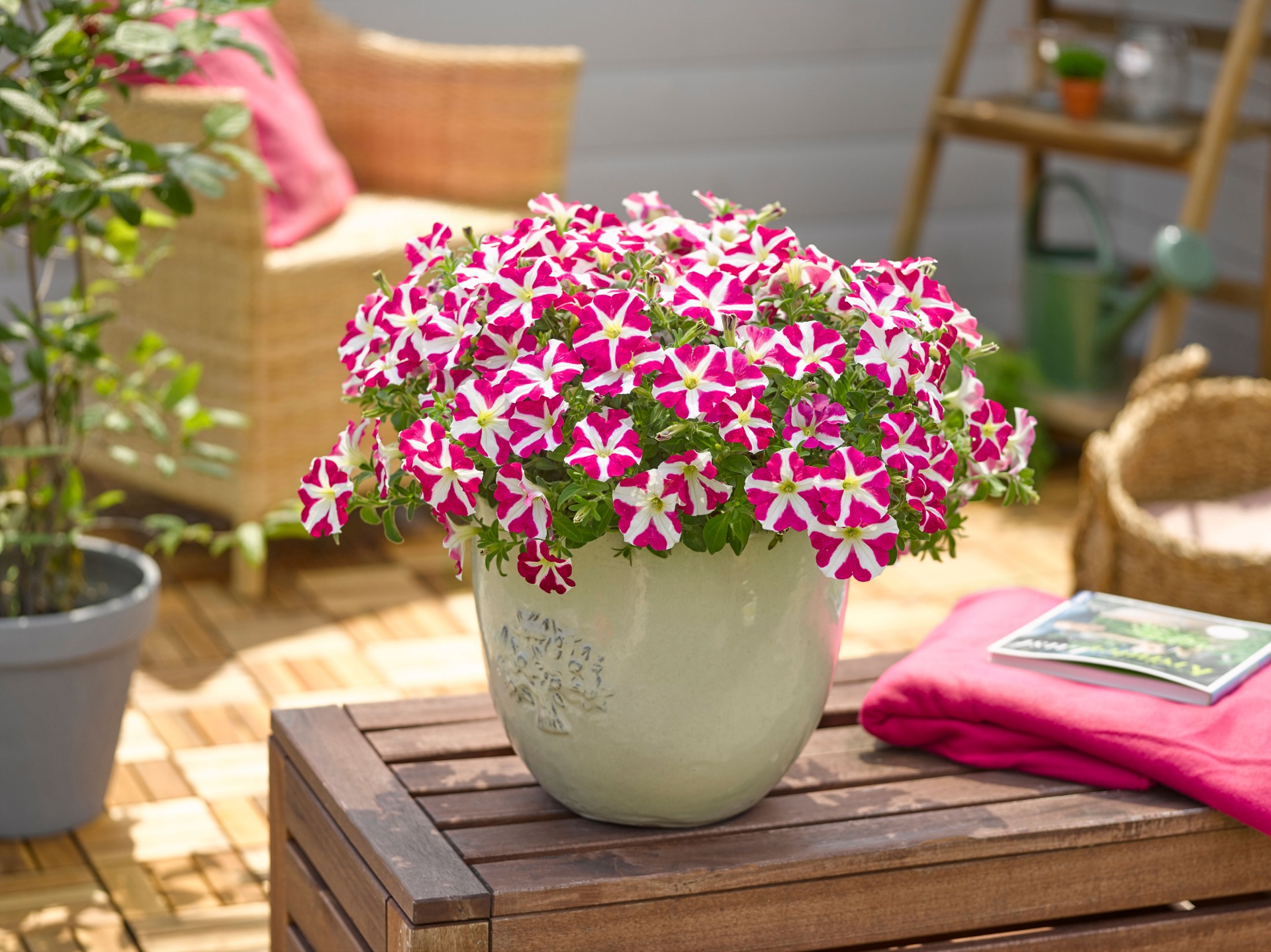 Amore™ Pink (Pink Heart)