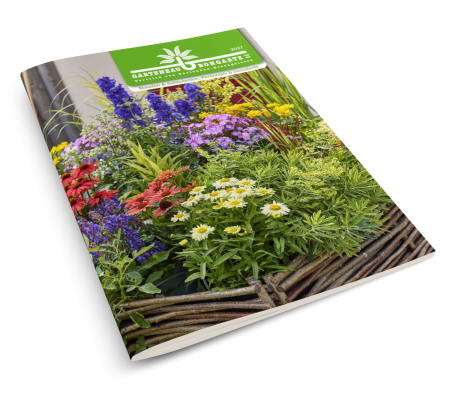 Bongartz Katalog